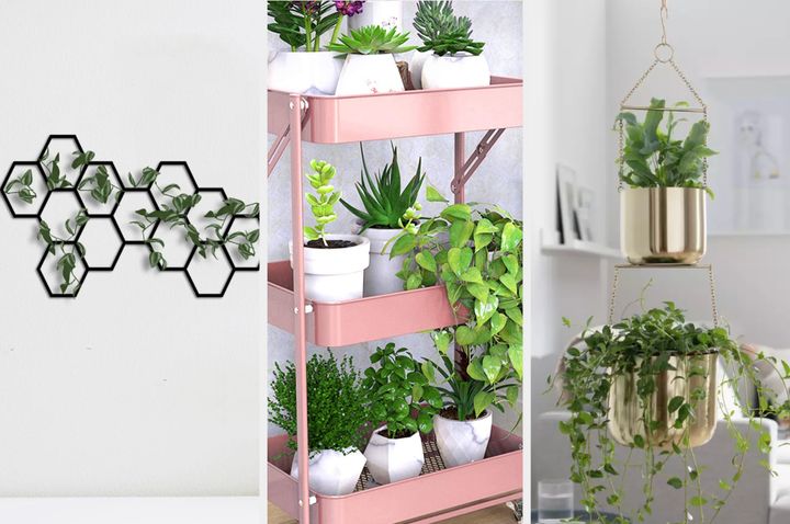 Bring houseplants into your home – without them taking it over!