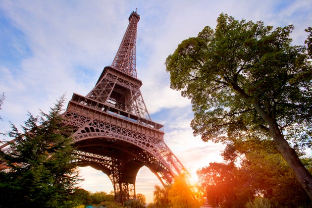 Après la vive polémique provoquée par ce projet dans le cadre des JO Paris 2024, la mairie de la capitale renonce à l'abattage de l'ensemble des arbres concernés par le projet d'urbanisme (photo d'illustration).