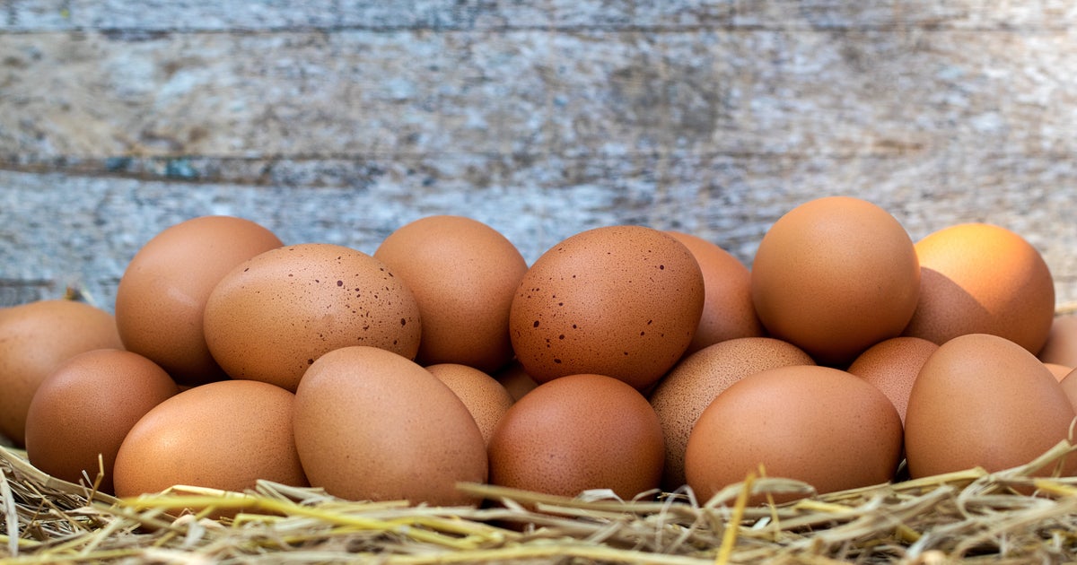 À cause de la grippe aviaire, des œufs plus chers et des rayons dégarnis