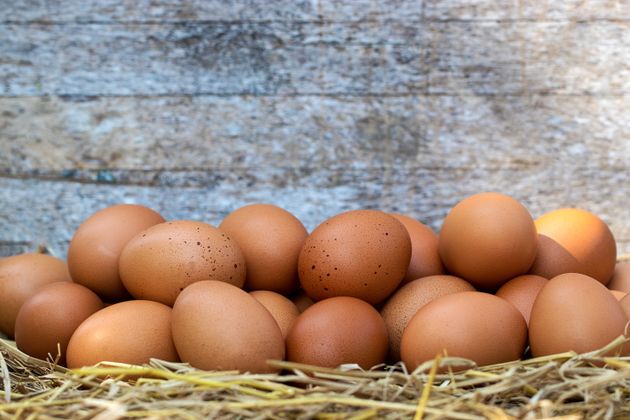À cause de la grippe aviaire, des œufs plus chers et des rayons dégarnis (photo