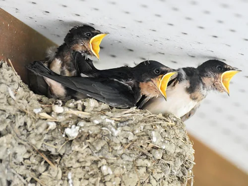 627783e5210000ecc3507a42.jpeg?