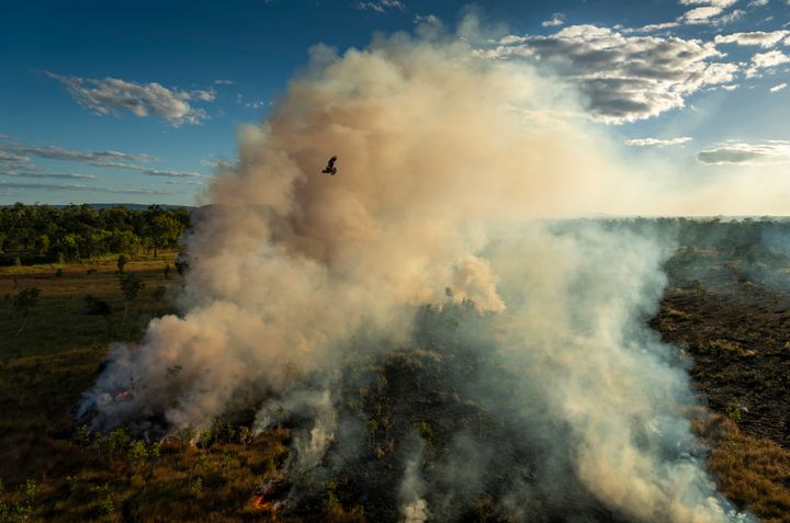 Matthew Abbott World Press Photo Story of the Year 2022 Saving Forests with Fire (Σώζοντας τα δάση με τη φωτιά), Arnhem Land, Αυστραλία, 2 Μαΐου 2021