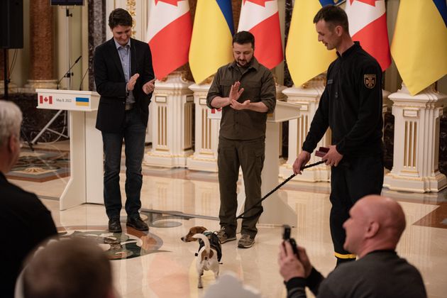 ウクライナのゼレンスキー大統領とカナダのトルドゥー首相を訪問し、表彰された犬のパトロン（2022年5月8日・キーウ、ウクライナ）