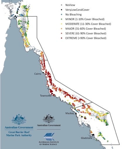 It's the fourth time the Great Barrier Reef has undergone a mass bleaching event since 2016, and the first during a cooler La Niña year.