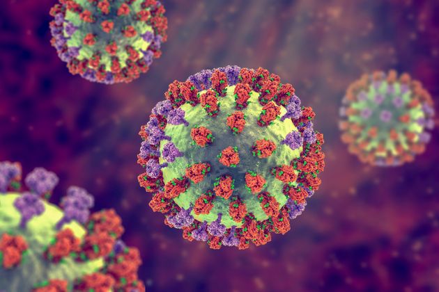 Image présentant la structure ou composition d'un virus de la grippe (Influenza). On y retrouve...