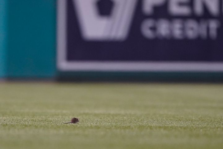 A rat found its way onto the outfield during a game between the New York Mets and the Washington Nationals in Washington, D.C., on Tuesday.