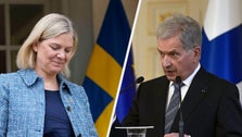 Finland Wants To Join NATO. Why Is It Considering Membership? Finland Wants To Join NATO. Why Is It Considering Membership?