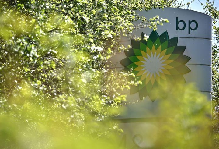 The chief executive of BP has said a windfall tax would not affect its investment plans