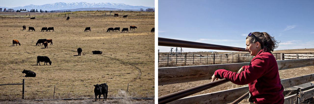 LEFT: Jennifer Ellis' ranch in Blackfoot, Idaho, with Mt. Putnam in the background on April 3, 2022. RIGHT: Ellis at her ranch.