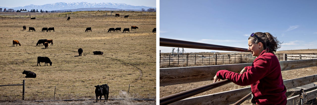 LEFT: Jennifer Ellis' ranch in Blackfoot, Idaho, with Mt. Putnam in the background on April 3, 2022. RIGHT: Ellis at her ranch.