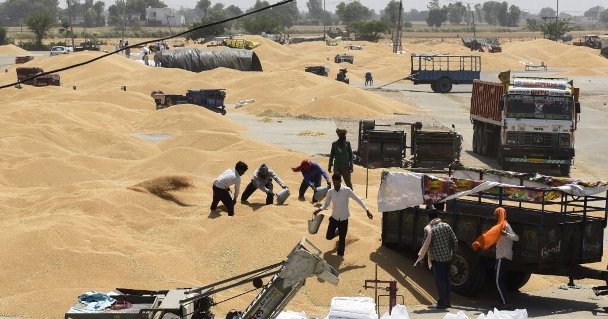 L'Inde suspend ses exportations de blé, le G7 s'inquiète d'une crise alimentaire aggravée
