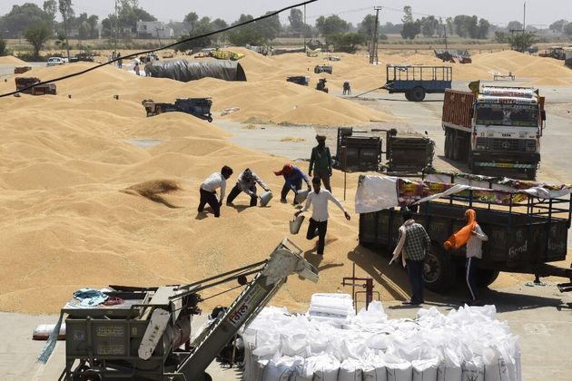 Un site de stockage du blé près de Amritsar dans le nord de l'Inde le 16 avril 2022