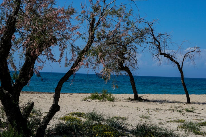 Φωτογραφία αρχείου