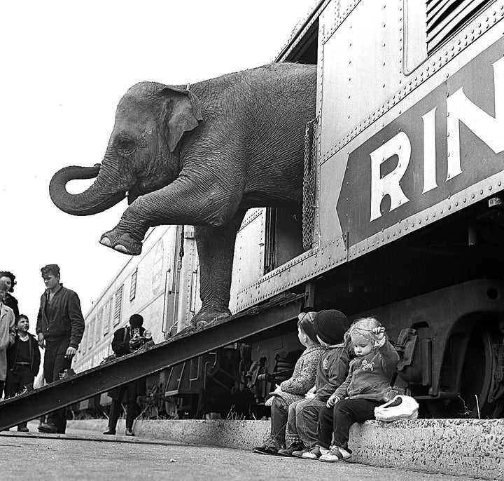 A Ringling Bros. circus elephant walks out of a train car as young children watch in the Bronx railroad yard in New York in 1963.