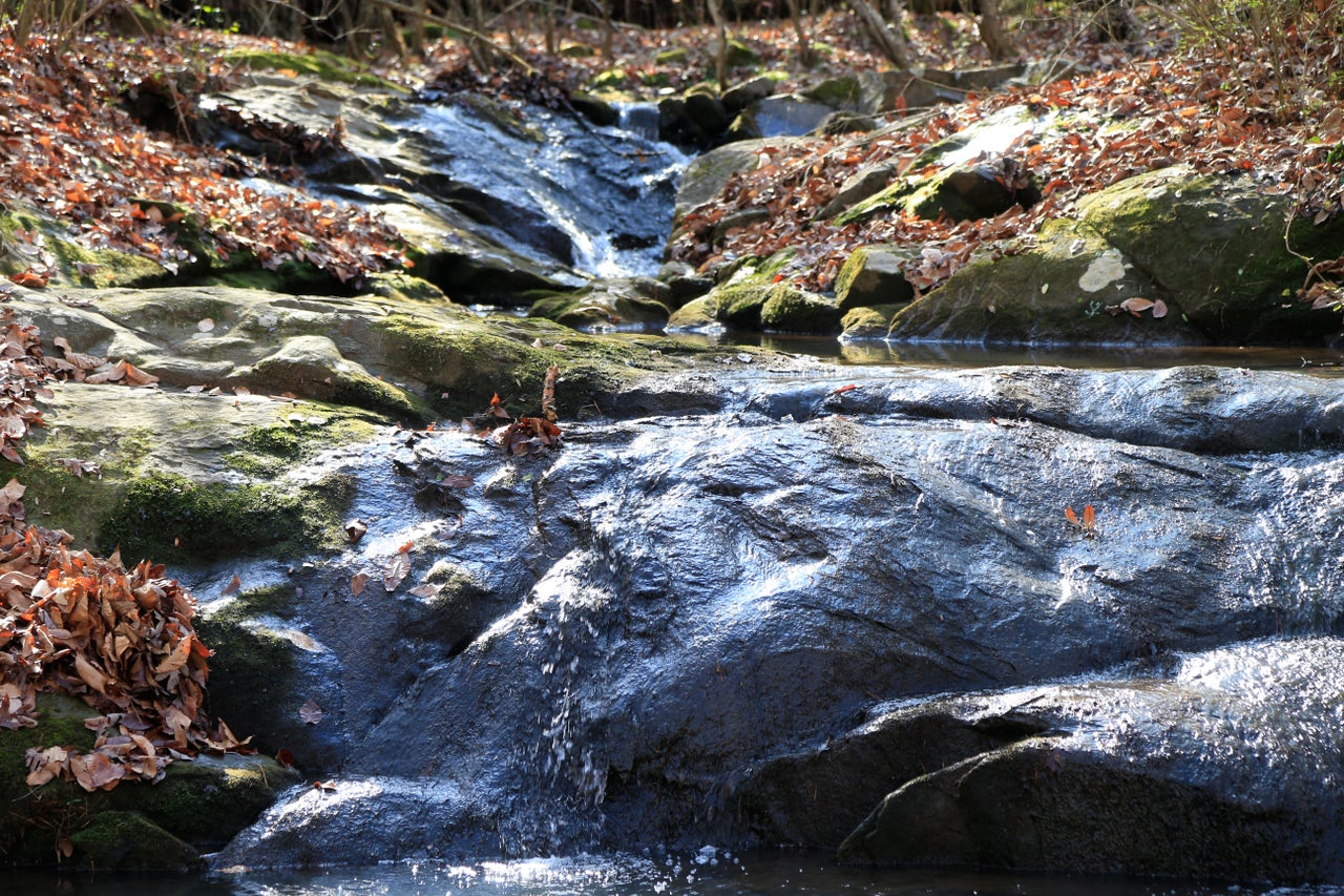 A small creek runs through a farm in Cherryville.