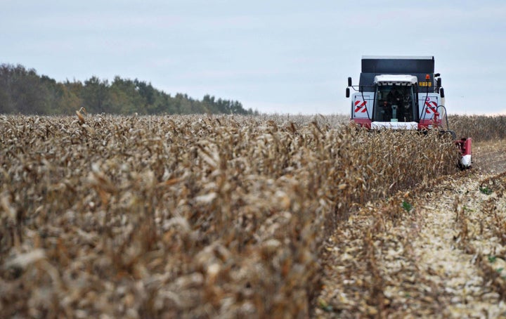 Vladimir Putin, left in cabin, drives a combine harvester through a field of corn while visiting a farm near Stavropol, about 1,200 kilometers (750 miles) south of Moscow, on Oct. 25, 2011.