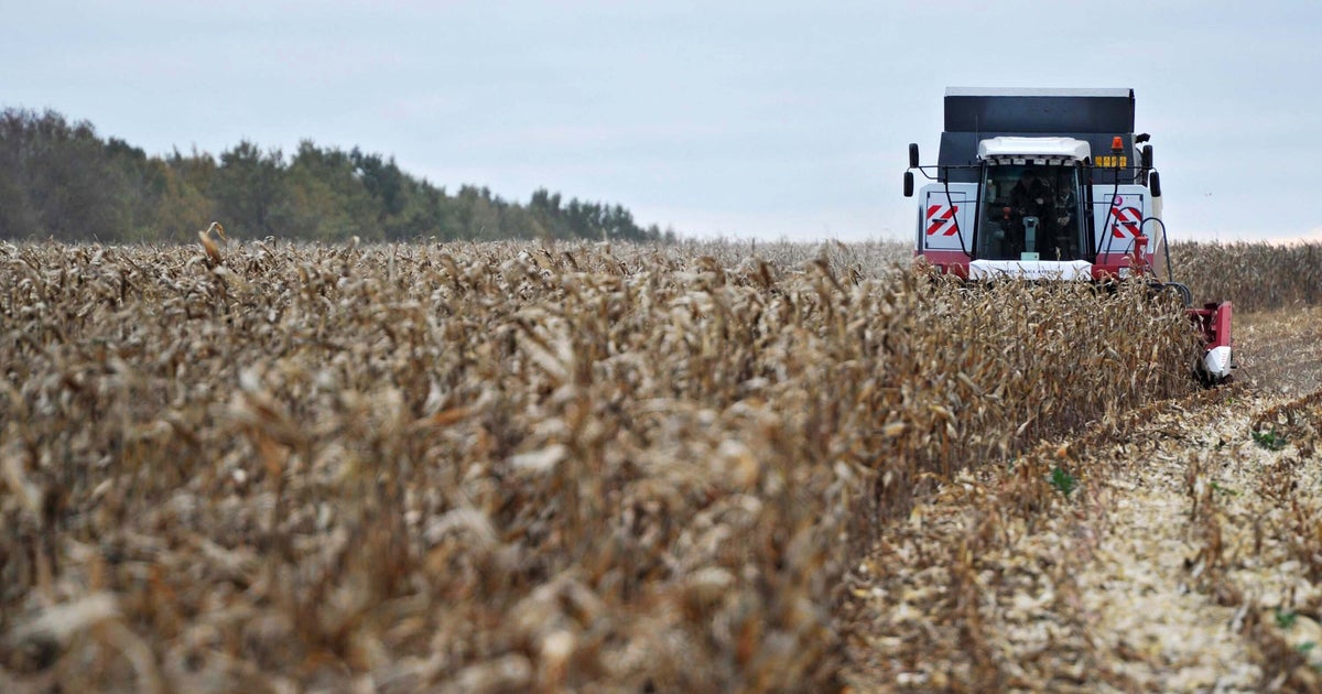 U.S. Accuses Russia Of Weaponizing Food In Ukraine War | HuffPost ...