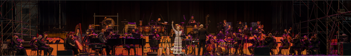 Luz Casal durante su concierto 'Solo esta noche'.