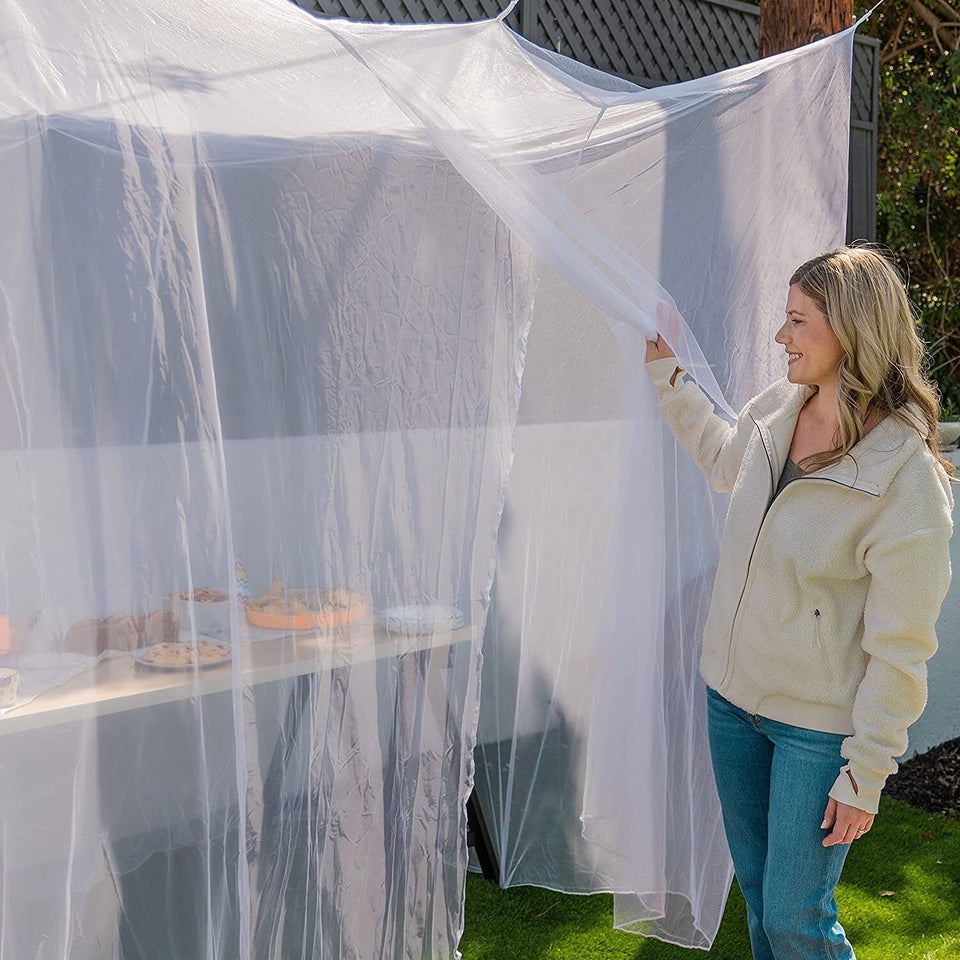 Portable Fly Repellent Fan for Indoor and Outdoor Guinea