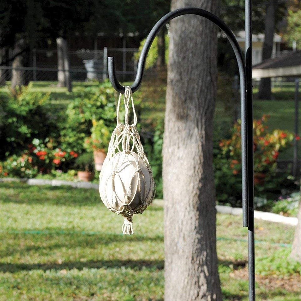 Garden items that repel mosquitoes 4 Garden items that repel mosquitoes