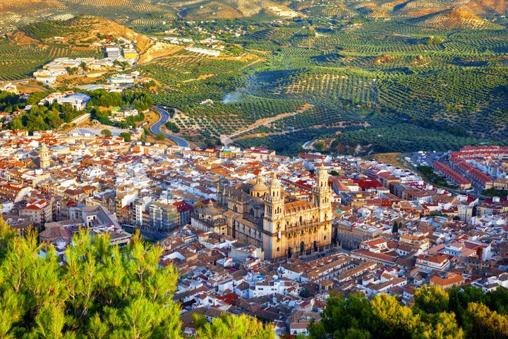 Vista aérea de Jaén entre olivos.