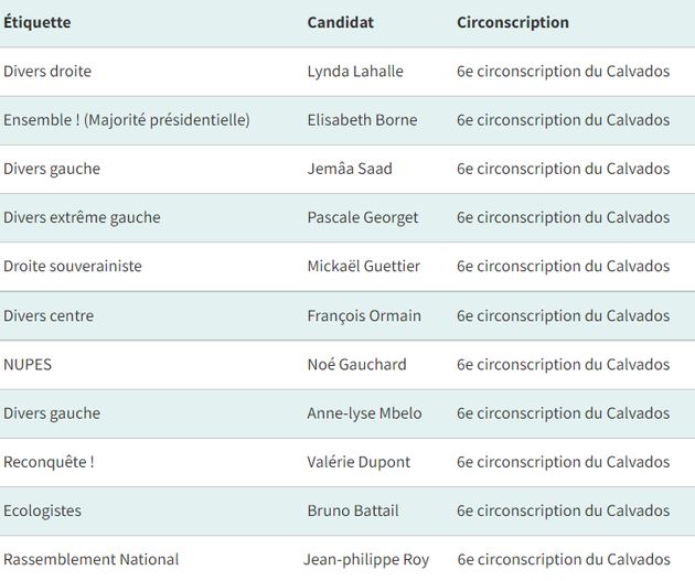 Les candidats aux législatives dans la 6e circonscription du Calvados où se présente Elisabeth