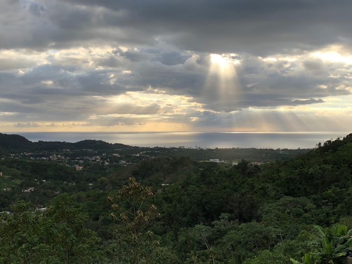 View from the hills of Rincón