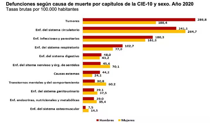 Causas de muerte en España según el Instituto Nacional de Estadística. INE