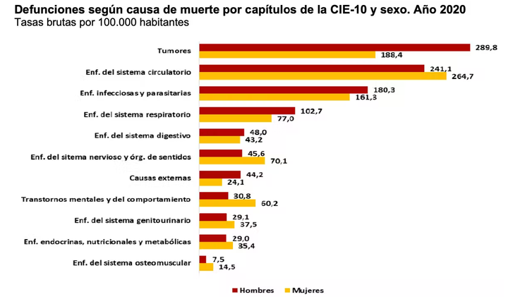 Causas de muerte en España según el Instituto Nacional de Estadística. INE