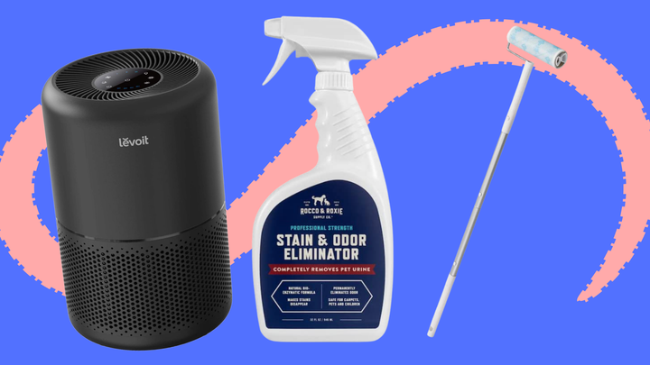 A <a href="https://www.amazon.com/LEVOIT-Filtration-Eliminators-Core-300/dp/B083TMWFSZ/ref=cm_cr_srp_d_product_top?ie=UTF8&tag=griffinwynne-20&ascsubtag=628e64cde4b0415d4d80274a%2C-1%2C-1%2Cd%2C0%2C0%2Chp-fil-am%3D0%2C0%3A0%2C0%2C0%2C0" target="_blank" data-affiliate="true" role="link" data-amazon-link="true" rel="sponsored" class=" js-entry-link cet-external-link" data-vars-item-name="compact air purifier" data-vars-item-type="text" data-vars-unit-name="628e64cde4b0415d4d80274a" data-vars-unit-type="buzz_body" data-vars-target-content-id="https://www.amazon.com/LEVOIT-Filtration-Eliminators-Core-300/dp/B083TMWFSZ/ref=cm_cr_srp_d_product_top?ie=UTF8&tag=griffinwynne-20&ascsubtag=628e64cde4b0415d4d80274a%2C-1%2C-1%2Cd%2C0%2C0%2Chp-fil-am%3D0%2C0%3A0%2C0%2C0%2C0" data-vars-target-content-type="url" data-vars-type="web_external_link" data-vars-subunit-name="article_body" data-vars-subunit-type="component" data-vars-position-in-subunit="0">compact air purifier</a>, <a href="https://www.amazon.com/Rocco-Roxie-Supply-Co-Professional/dp/B00CKFL93K?tag=griffinwynne-20&ascsubtag=628e64cde4b0415d4d80274a%2C-1%2C-1%2Cd%2C0%2C0%2Chp-fil-am%3D0%2C0%3A0%2C0%2C0%2C0" target="_blank" data-affiliate="true" role="link" data-amazon-link="true" rel="sponsored" class=" js-entry-link cet-external-link" data-vars-item-name="Rocco & Roxie's stain and odor eliminator" data-vars-item-type="text" data-vars-unit-name="628e64cde4b0415d4d80274a" data-vars-unit-type="buzz_body" data-vars-target-content-id="https://www.amazon.com/Rocco-Roxie-Supply-Co-Professional/dp/B00CKFL93K?tag=griffinwynne-20&ascsubtag=628e64cde4b0415d4d80274a%2C-1%2C-1%2Cd%2C0%2C0%2Chp-fil-am%3D0%2C0%3A0%2C0%2C0%2C0" data-vars-target-content-type="url" data-vars-type="web_external_link" data-vars-subunit-name="article_body" data-vars-subunit-type="component" data-vars-position-in-subunit="1">Rocco & Roxie's stain and odor eliminator</a> and an <a href="https://www.amazon.com/UNIKON-Roller-Sticky-Handle-Extendable/dp/B06XXQNRYC?tag=griffinwynne-20&ascsubtag=628e64cde4b0415d4d80274a%2C-1%2C-1%2Cd%2C0%2C0%2Chp-fil-am%3D0%2C0%3A0%2C0%2C0%2C0" target="_blank" data-affiliate="true" role="link" data-amazon-link="true" rel="sponsored" class=" js-entry-link cet-external-link" data-vars-item-name="extended lint roller" data-vars-item-type="text" data-vars-unit-name="628e64cde4b0415d4d80274a" data-vars-unit-type="buzz_body" data-vars-target-content-id="https://www.amazon.com/UNIKON-Roller-Sticky-Handle-Extendable/dp/B06XXQNRYC?tag=griffinwynne-20&ascsubtag=628e64cde4b0415d4d80274a%2C-1%2C-1%2Cd%2C0%2C0%2Chp-fil-am%3D0%2C0%3A0%2C0%2C0%2C0" data-vars-target-content-type="url" data-vars-type="web_external_link" data-vars-subunit-name="article_body" data-vars-subunit-type="component" data-vars-position-in-subunit="2">extended lint roller</a>.