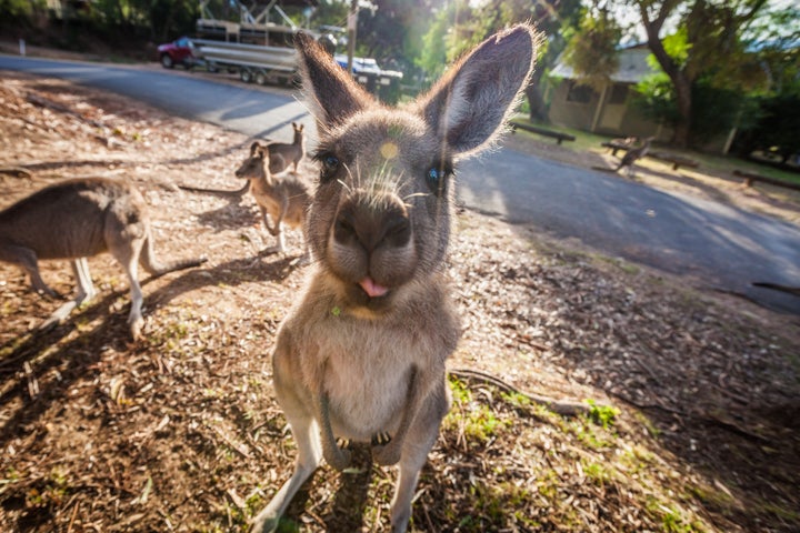 Photo taken in Melbourne, Australia