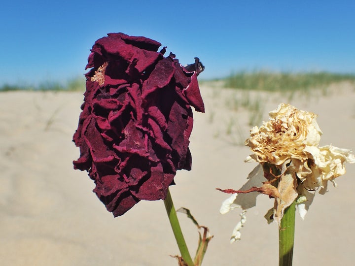 Photo taken in Noordwijk Aan Zee, Netherlands