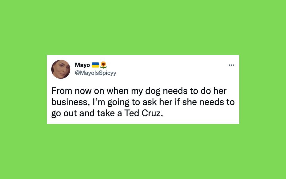 20 Of The Fun Tweets About Cats And Dogs This Week | Buna Time