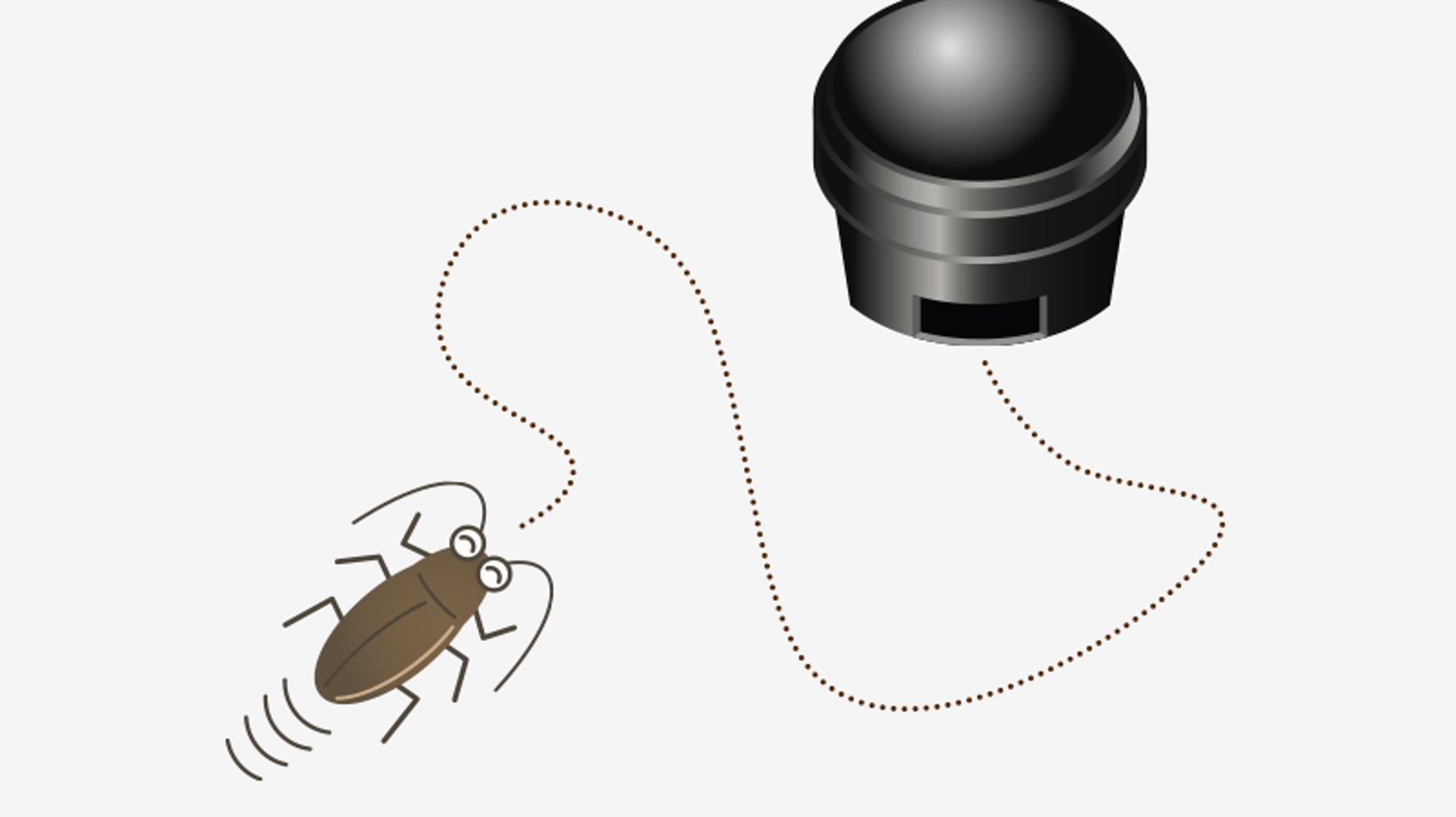 知ってる ゴキブリの効果的な駆除方法 すでに5人に1人が 目撃 も ハフポスト News 知ってる ゴキブリの効果的な駆除方法 すでに5人に1人が 目撃 も ハフポスト News