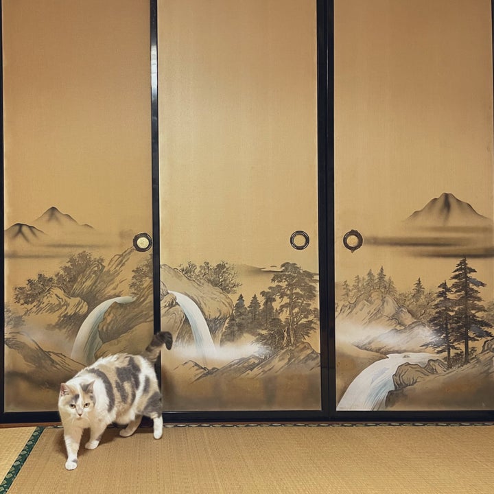 一休さんが喜んで捕まえそう と話題の写真がこれだ 古民家に引っ越したら猫のインパクトがすごい ハフポスト アートとカルチャー 一休さんが喜んで捕まえそう と話題の写真がこれだ 古民家に引っ越したら猫のインパクトがすごい ハフポスト アートとカルチャー