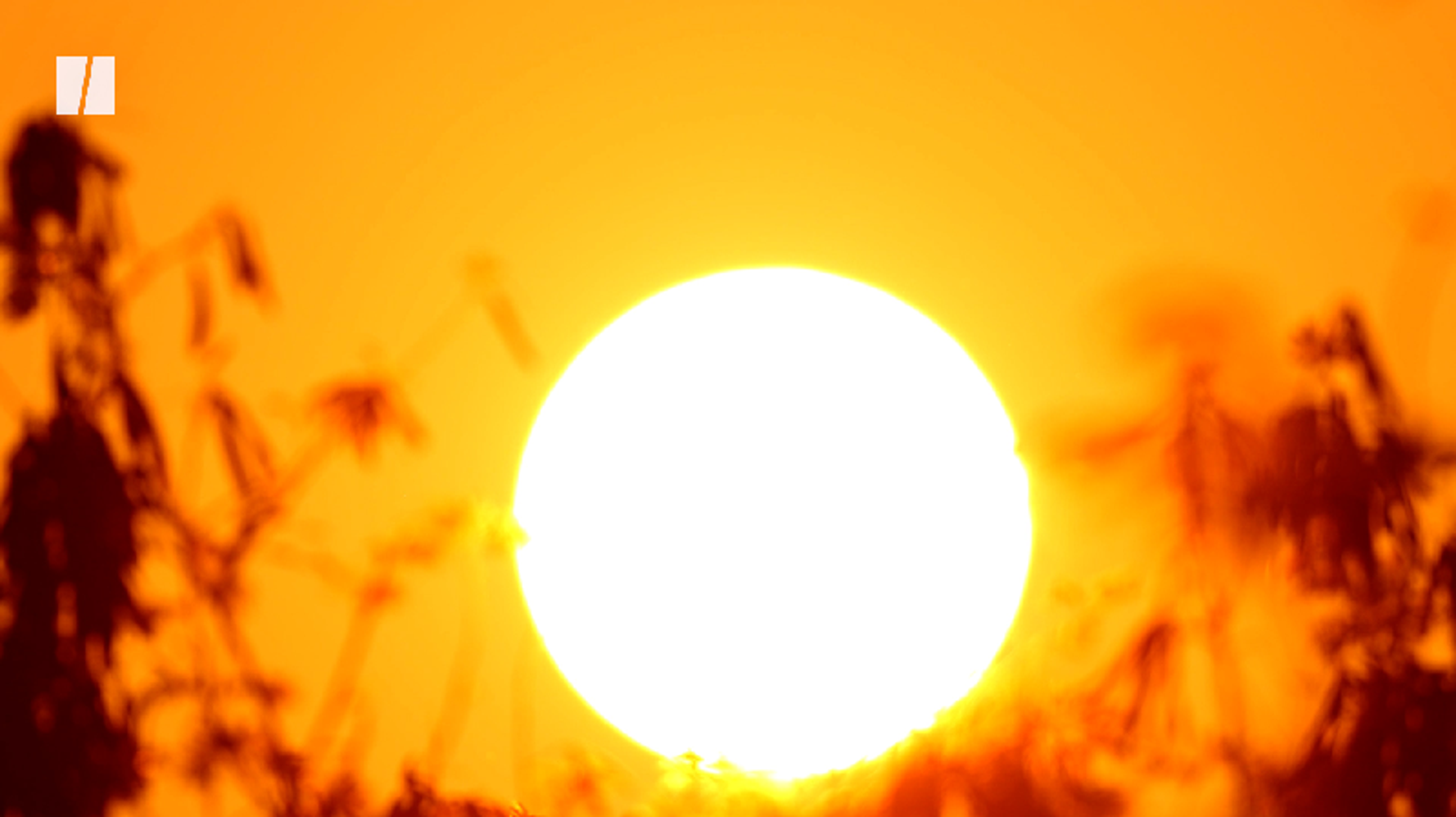 Climate Change Plagues Classrooms - HuffPost