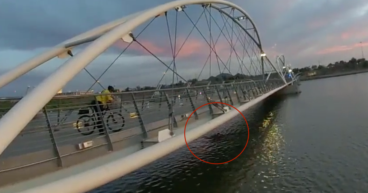 3 Arizona Officers Put On Leave After Allegedly Watching Man Drown As