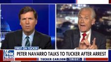 Peter Navarro Ripped For Complaining That Being Arrested Wasn't Very Pleasant