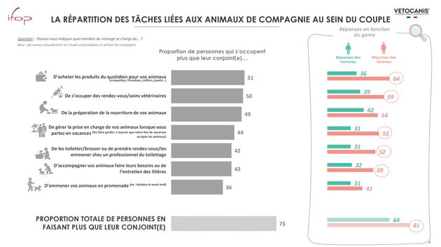 31% des Français en couple possédant un animal se sont déjà disputés à cause de l’inégale répartition de ces tâches