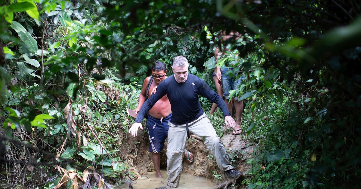 British Journalist, Indigenous Expert Have Gone Missing In The Amazon