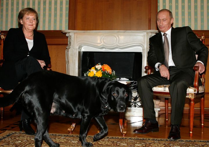 Μέρκελ, Πούτιν και ο σκύλος του Κόνι (Ιανουάριος 2007)