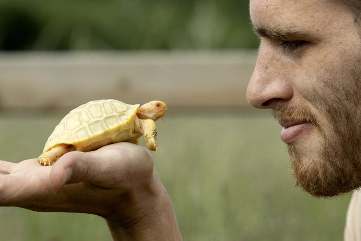 人類が初めて目撃 白いガラパゴスゾウガメ がスイスで誕生 画像集 ハフポスト World 人類が初めて目撃 白いガラパゴスゾウガメ がスイスで誕生 画像集 ハフポスト World