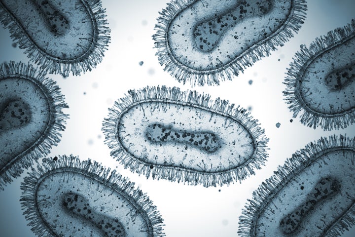 El virus de la viruela del mono.
