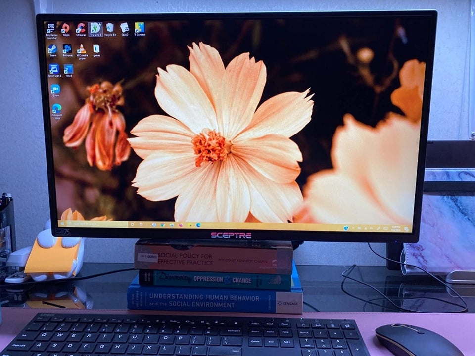 A 24-inch budget-friendly monitor