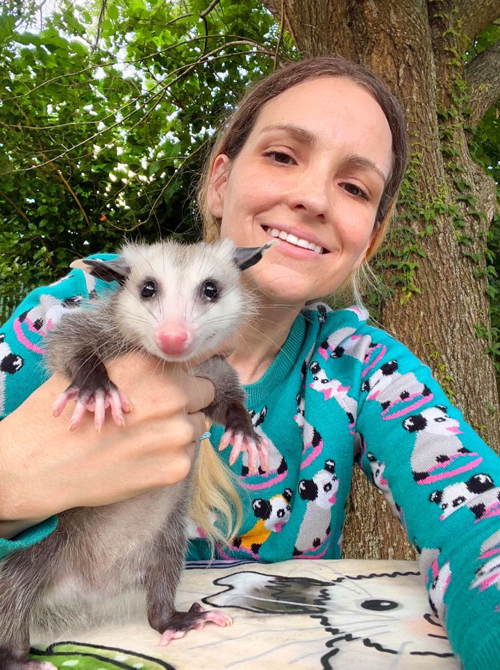 The author and Pippen the opossum. “Pippen has a tail injury,” the author writes. “He gets daily meds and bandage changes until he heals, at which point he’ll go back to the wild.”