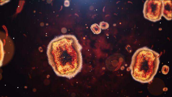 Animation of Monkeypox viruses