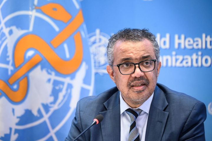 World Health Organization Director-General Tedros Adhanom Ghebreyesus has said that the monkeypox virus could become established in non-endemic countries given its current spread.