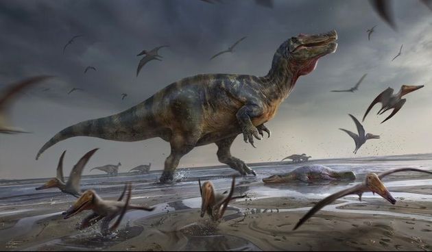 illustration de la nouvelle espèce de spinosaure, plus gros carnivore jamais découvert en