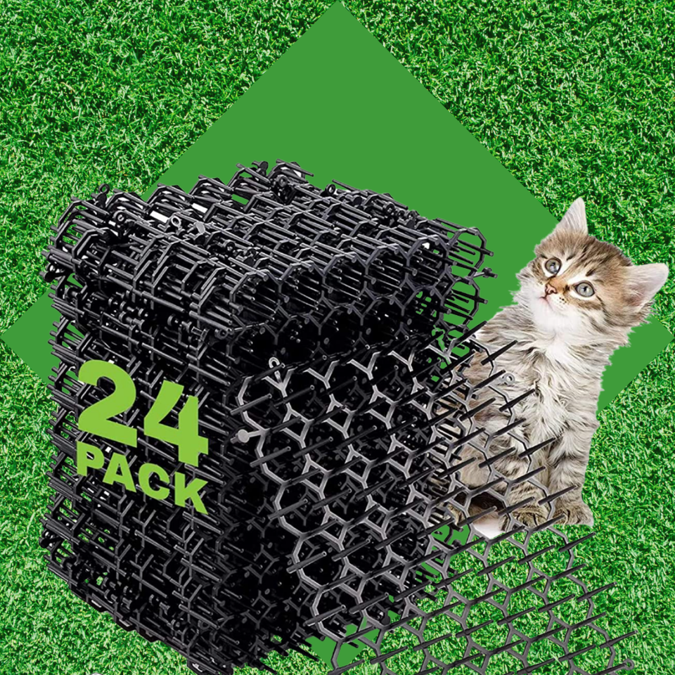 How To Stop Cats From Pooping In Your Plants, According To An Expert