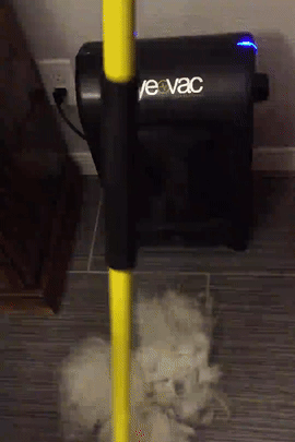 A touchless vacuum that'll make you wonder why you ever owned a regular dust pan